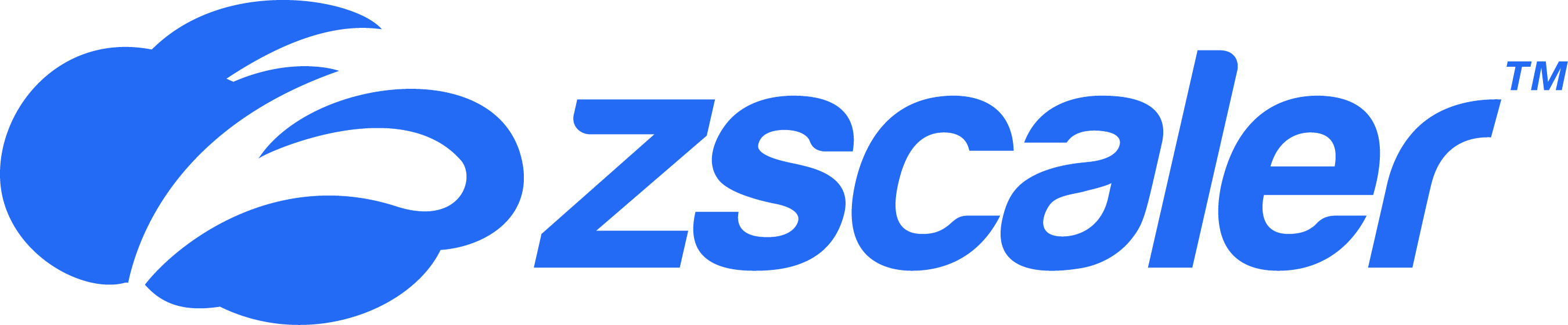 ゼットスケーラー株式会社